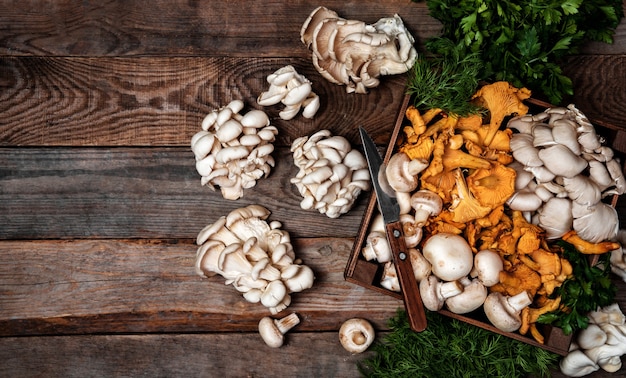 Bandeja de madeira com ostra crua e cogumelos chanterelle