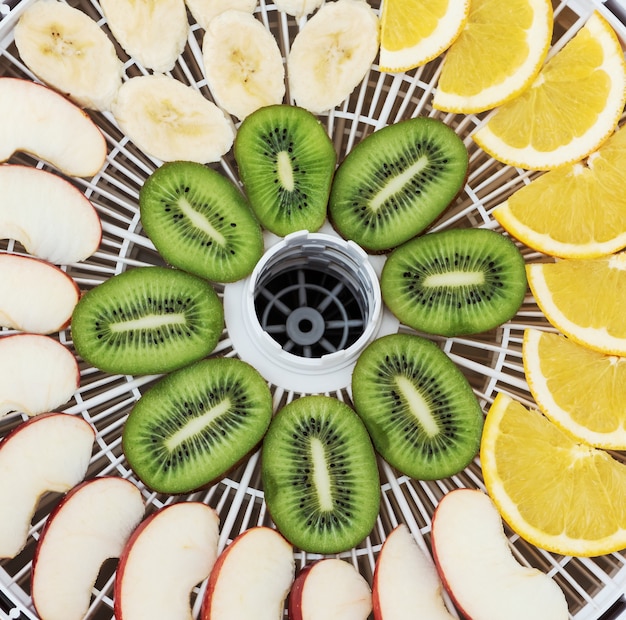 Foto bandeja deshidratadora con rodajas de kiwi, manzanas y naranjas