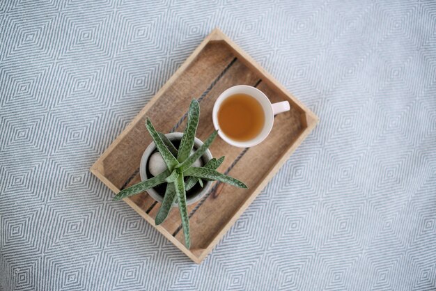 Una bandeja con una taza de té y una planta en el interior.