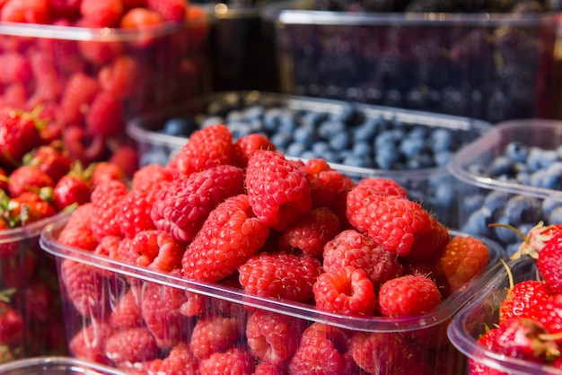 Bandejas de frutas frescas em exposição no mercado local.