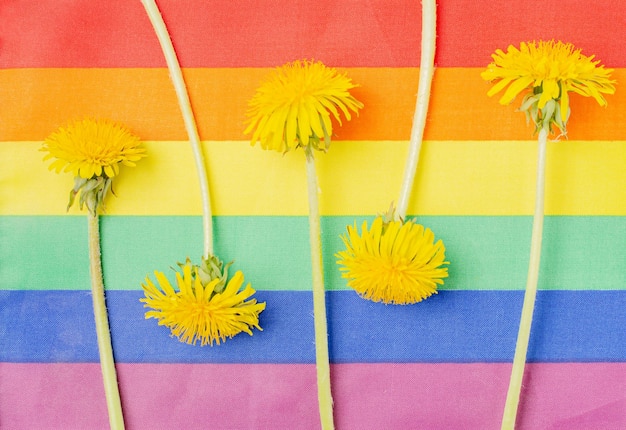 Bandera del arco iris y flores amarillas Un símbolo de la comunidad LGBT