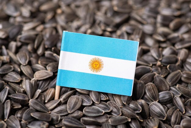 Bandera de Argentina en grano de girasol