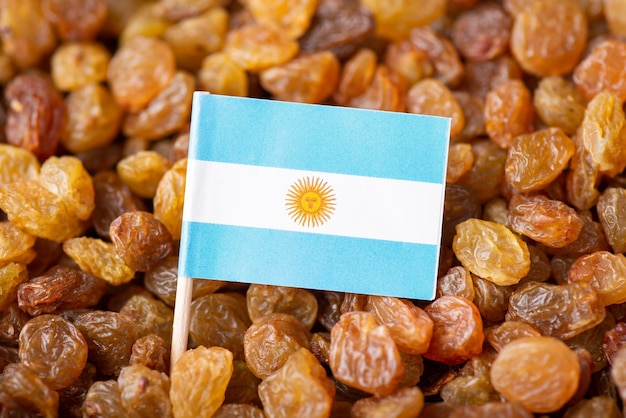 Bandera de Argentina sobre pasas Pasas crecientes en concepto de Argentina