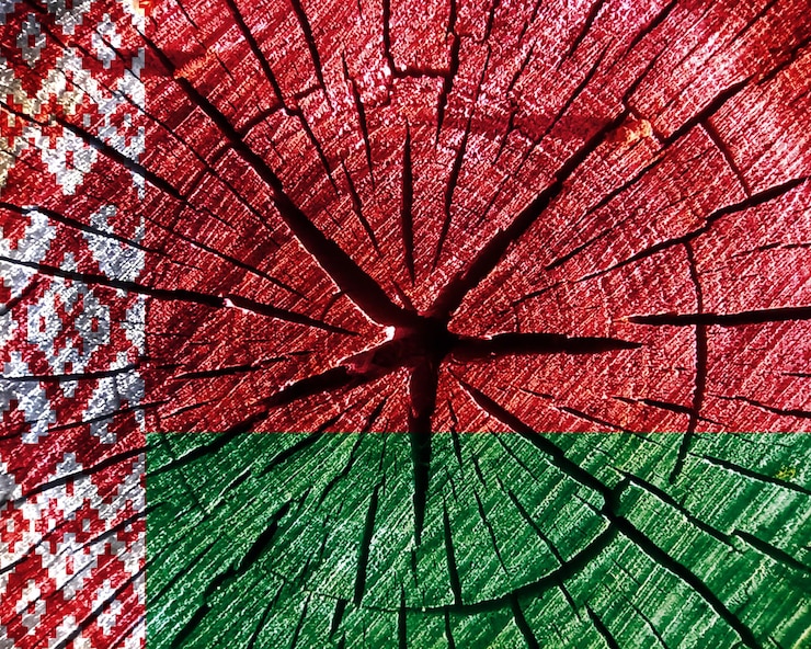 Foto bandera de bielorrusia impresa en superficie de madera símbolo de bielorrusia en textura agrietada