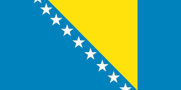 Bandera de Bosnia y Herzegovina Bandera nacional de Bosnia y Hercegovina en la textura