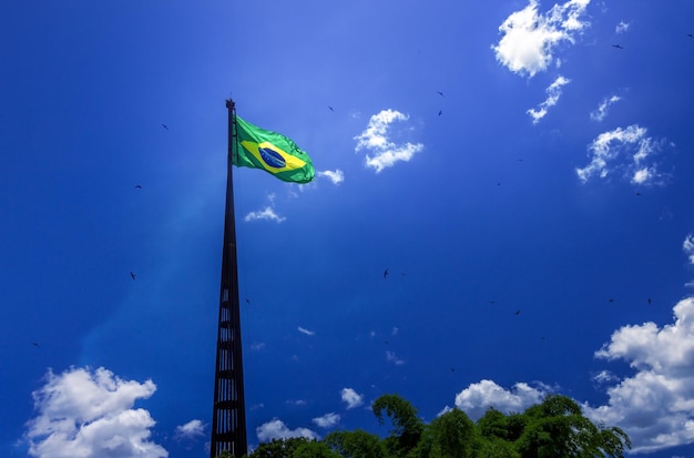 Bandera brasileña ondeando en un poste enorme con cielo azul y pájaros volando en el fondo