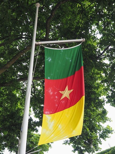 Foto bandera camerunesa de camerún