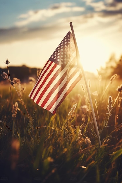 Una bandera en un campo con el sol detrás