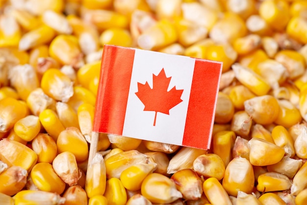 Bandera de Canadá en grano de maíz