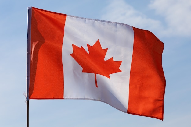 Bandera de Canadá en el viento