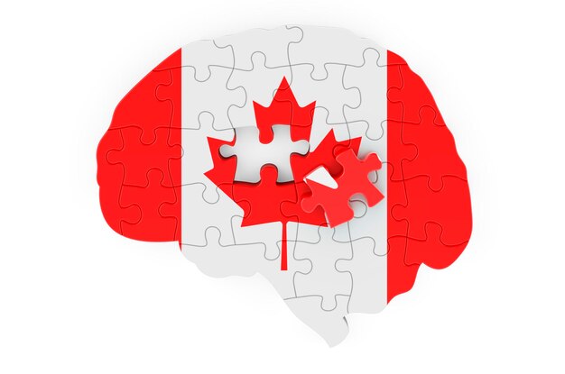 Bandera canadiense pintada en el cerebro de rompecabezas Investigación científica y educación en Canadá concepto 3D rendering aislado sobre fondo blanco.