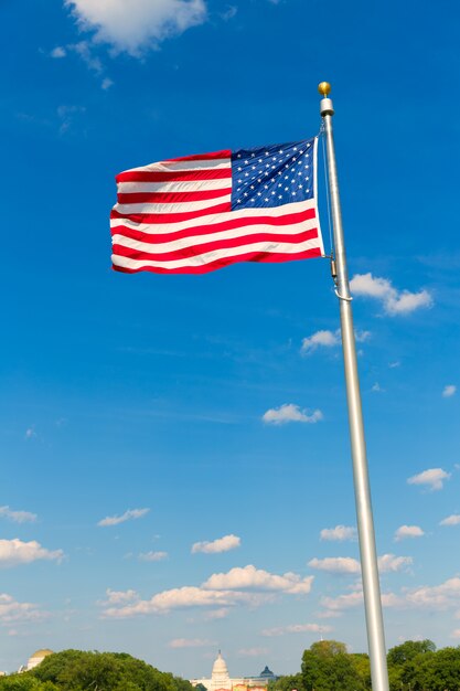 Bandera y capitolio del monumento a washington en dc usa