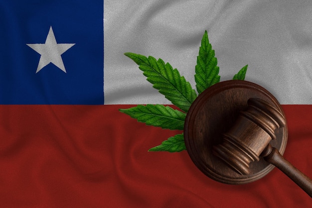 Foto bandera de chile y martillo de justicia con hoja de cannabis crecimiento ilegal de la planta de cannabis y propagación de drogas