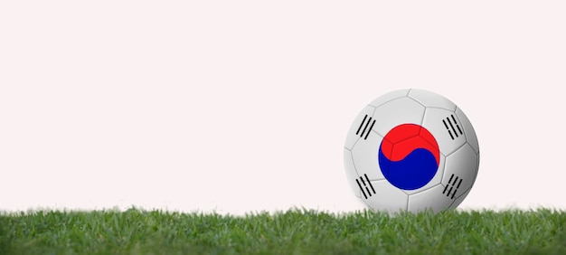 Bandera de corea en el balón de fútbol en el espacio de copia de hierba con fondo blanco.