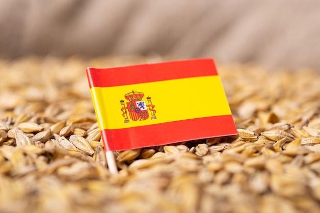 Bandera de España en grano de cebada