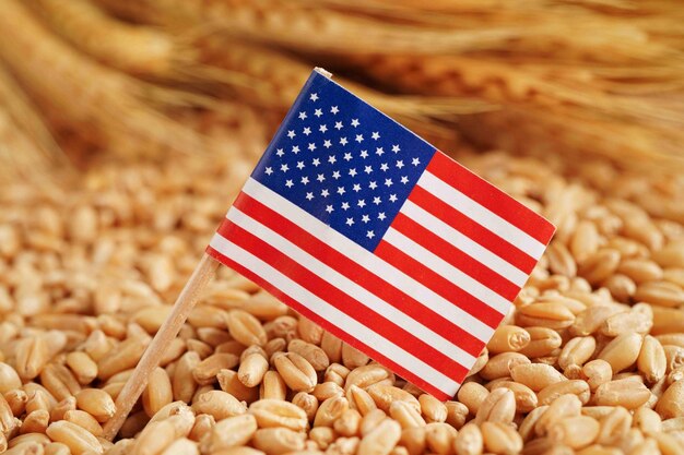 Bandera de los Estados Unidos de América en el concepto de exportación comercial y económica de trigo de grano