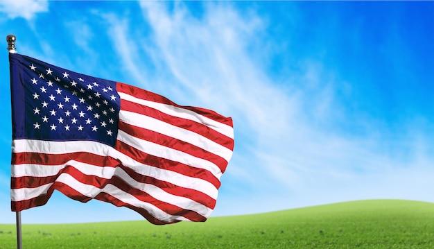 Bandera de los Estados Unidos de América en el fondo del prado verde.