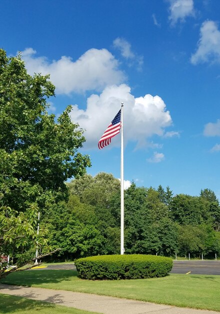 Foto bandera estadounidense por los árboles contra el cielo