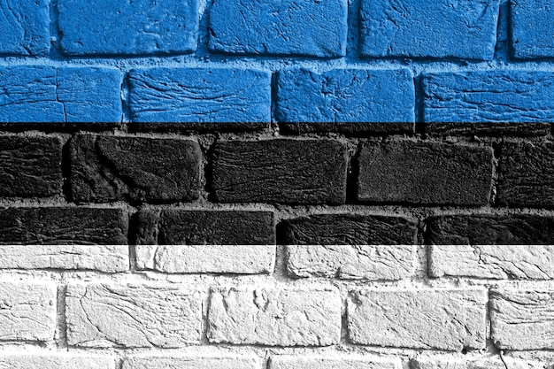 Bandera de Estonia en la pared