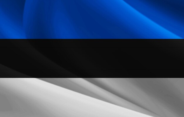 Bandera de Estonia plegada