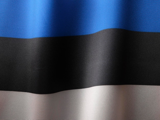 Bandera de Estonia