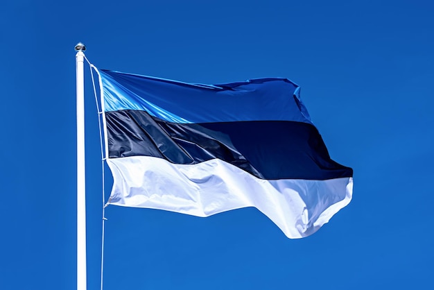 Bandera de Estonia