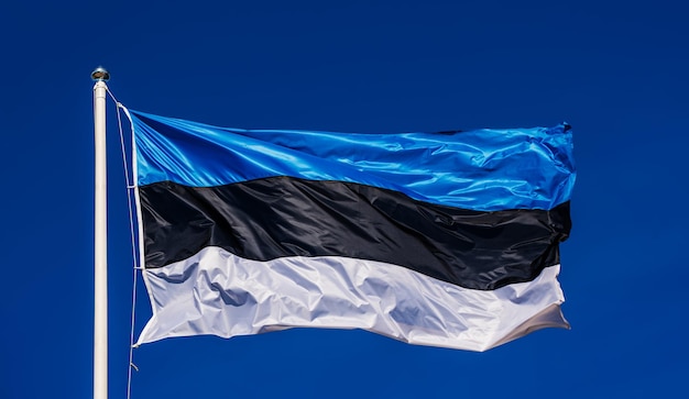 Bandera de Estonia