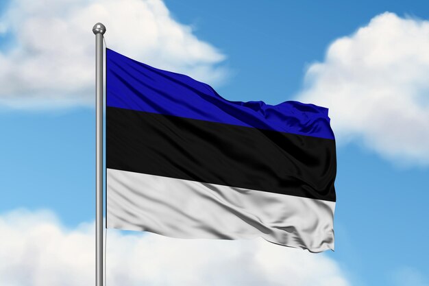 la bandera de estonia