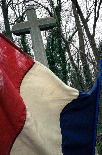 Foto bandera francesa contra la cruz en el bosque