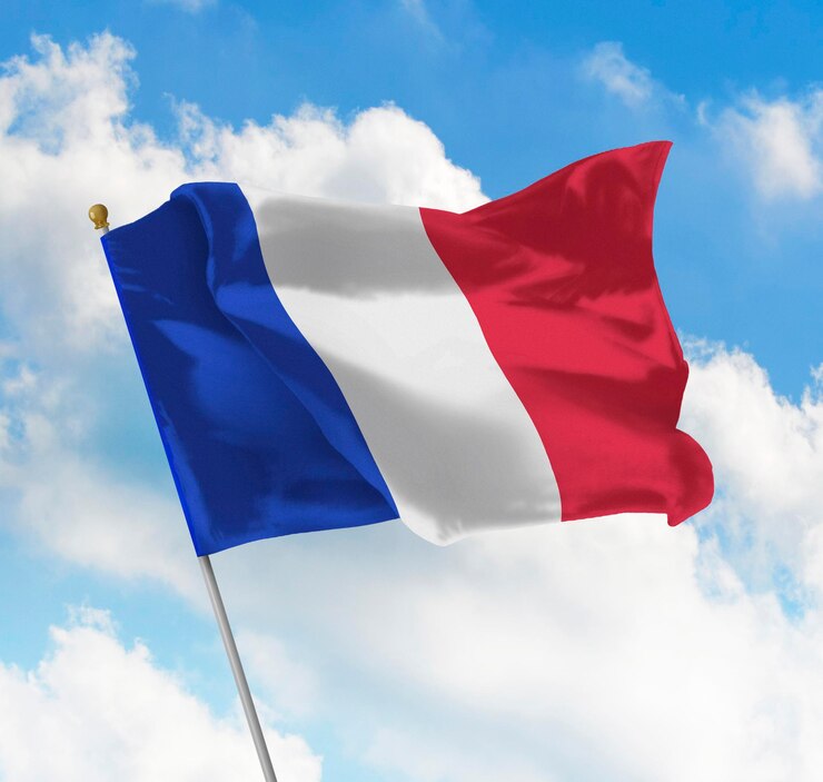 Bandera de Francia