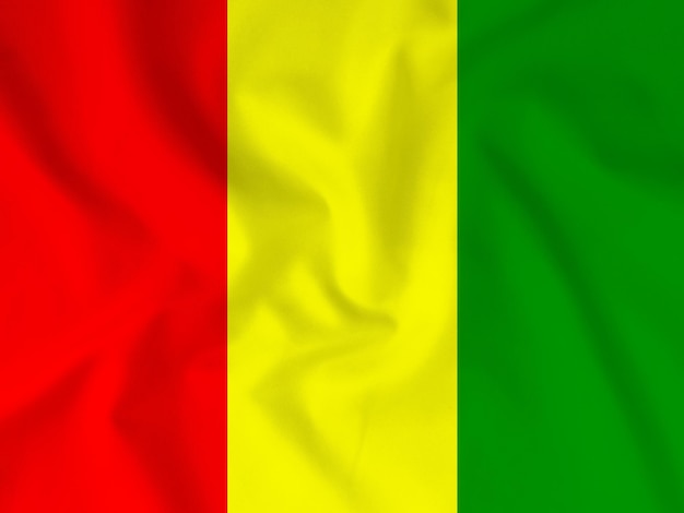 Bandera de Guinea sobre fondo de tela de algodón