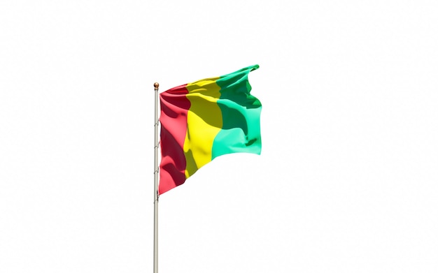 Bandera del hermoso estado nacional de Guinea