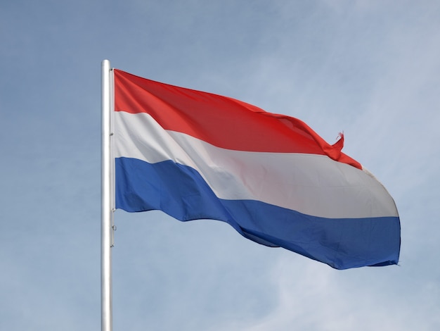 Bandera de holanda