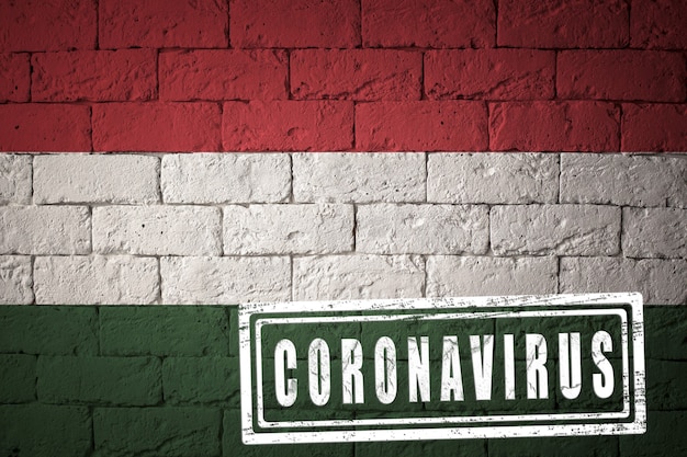 Bandera de Hungría con proporciones originales. estampado de Coronavirus. textura de la pared de ladrillo. Concepto de virus corona. Al borde de una pandemia COVID-19 o 2019-nCoV.