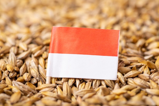 Bandera de indonesia en grano de cebada