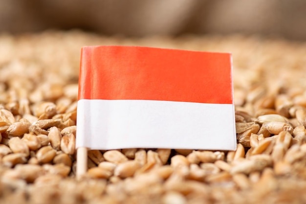 Bandera de Indonesia en grano de trigo