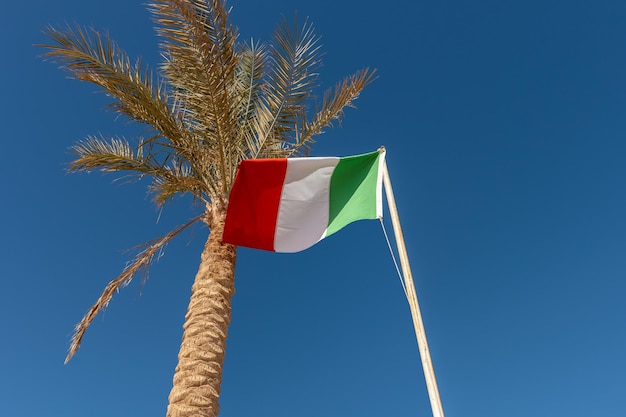 Foto bandera italiana en el fondo de la palmera