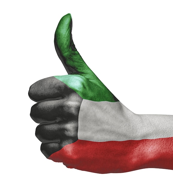 Bandera de Kuwait en la mano indicando aprobación sobre fondo blanco.