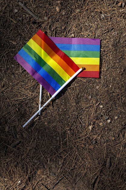 Bandera LGBT en el campo. Orgullo. Concepto de libertad