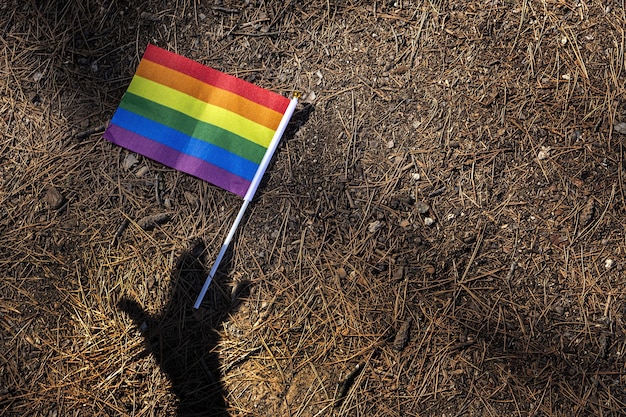 Bandera LGBT en el campo. Orgullo. Concepto de libertad