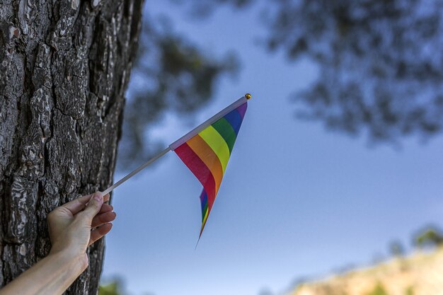 Bandera LGBT en el campo. Orgullo. Concepto de libertad