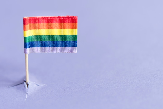 Bandera LGBT saliendo de un fondo de montaña