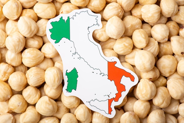 Bandera y mapa de Italia sobre avellanas Concepto de cultivo de avellanas en Italia origen de las nueces