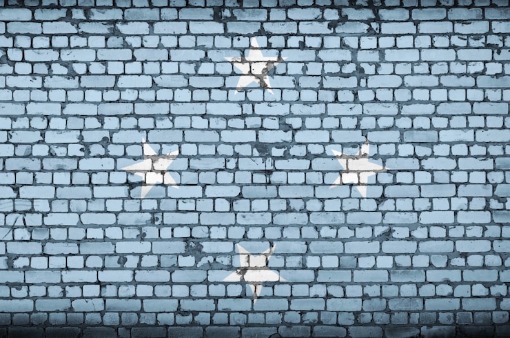 Foto la bandera de micronesia está pintada en una vieja pared de ladrillos