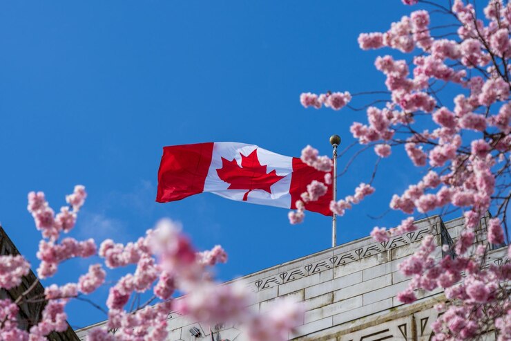 Bandera nacional de Canadá y flores de cerezo en flor Concepto de la vida urbana canadiense