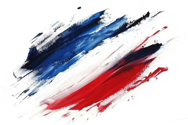 Bandera nacional de Francia pintada a mano