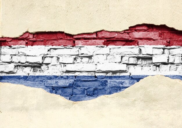 Bandera nacional de Holanda sobre un fondo de ladrillo. Pared de ladrillo con yeso, fondo o textura parcialmente destruidos.