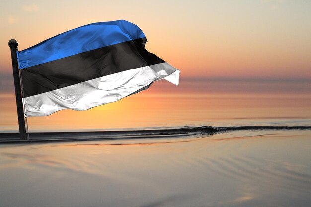 Una bandera nacional del país de estonia en un fondo de ver