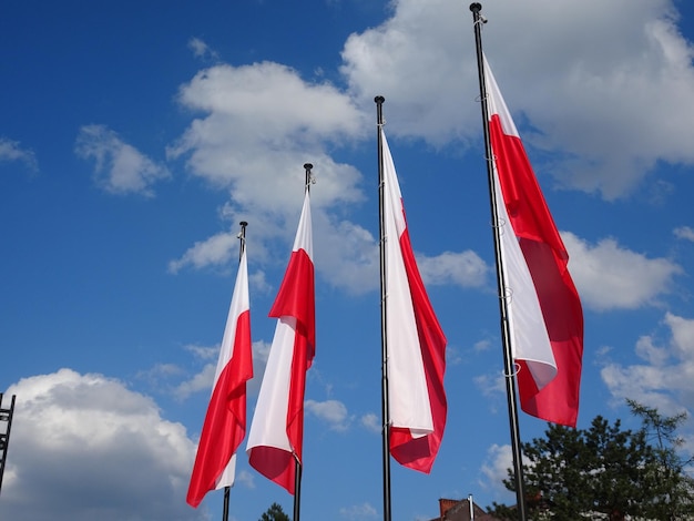La bandera nacional polaca - Polonia