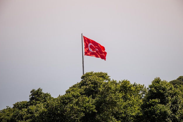 Bandera nacional turca con estrella blanca y luna en un poste en el cielo